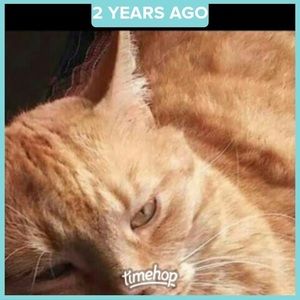 Meet your Posher, Kelley